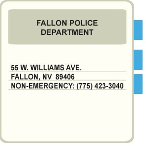 card-fallon card-fallon
