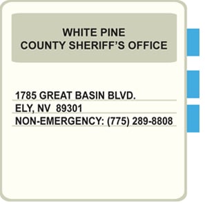 card-white-pine card-white-pine